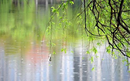 雨中的守护者 —— 乐都珍珠棉的应用实践